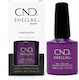 CND Shellac Ημιμόνιμο Βερνίκι Νυχιών Dreamcatch...