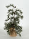 Weihnachtsdekoration Baum Weidenbaum Natürliches Erscheinungsbild 44cm Grün