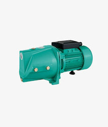 Zita Group Elektrische Oberflächenwasserpumpe 1hp 11631100