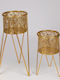Planter Metal Gold with Stand 27x27x50cm.
