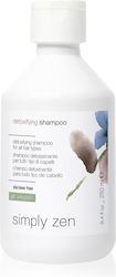 Simply Zen Entgiftendes Shampoo 250ml Simply Zen Entgiftendes Shampoo 250ml