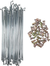 Wheel Spokes 10g 172mm Federal Nickel