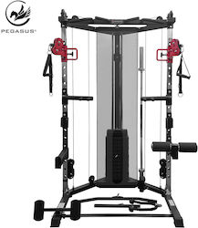 Pegasus Functional Trainer FT-100 Crossover/Πολυόργανο με Βάρη 60kg Pegasus Functional Trainer FT-100 Crossover/Πολυόργανο με Βάρη 60kg