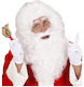 Widmann Carnival Wig & Beard White W0565