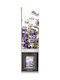 Parfum de Cameră Aroma Di Rogito 50 ml Portocală Scorțișoară