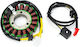 Roc Coils Motorcycle 120224