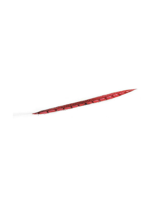 Espiel Decorative Feather Red 80cm 12pcs