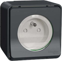 Schneider Electric Mureva Style Power Socket 2p...