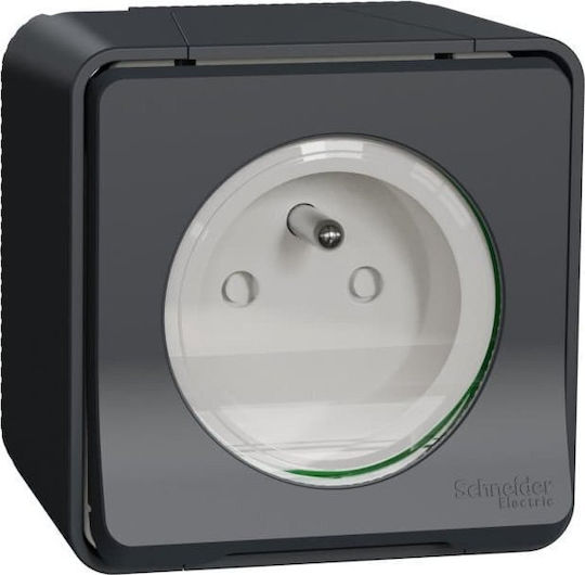 Контакт Schneider Electric Mureva Style 2p+pe Антрацит Винтови клеми Mur36030