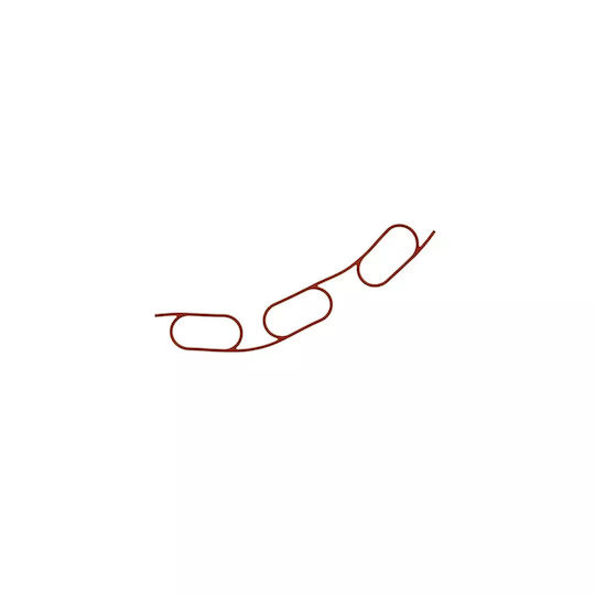 Garnitură galerie admisie BMW 3 Cabriolet E36 320 I 1993-1999 Corteco 450569h
