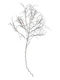 MSA Christmas Decorative Branch 95cm