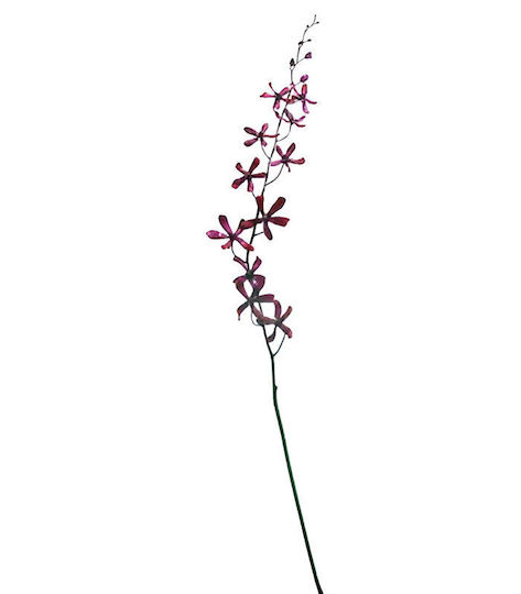 MSA Christmas Decorative Branch 85cm