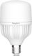Braytron LED Bulb 20W for Socket E27 and Shape T80 Warm White 20lm