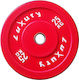 Luxury Fitness Olympic Type Metal Strength Trai...
