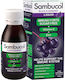 Olvos Science Sambucol Special Food Supplement for Immune System Support 120ml Elderberry