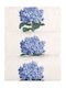 Nakas Concept Hand Towel 30x50cm White Blue 3 Pieces