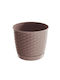 Prosperplast Κασπώ Rattan Καφέ 25x25εκ.
