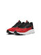 Flexfocus Lite Modern Sport Shoes Running Red