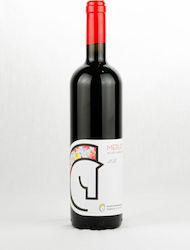 Tetarti Genia Oikonomopoulos Red Dry 750ml