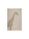 Biokarpet Jouet 67641 060-160x230