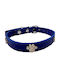 Tatu Moyo Dog Collar in Blue color