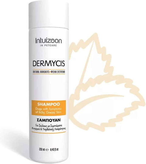 Intuizoon Dermycis Șampon Hipoalergenic Pentru Câini 250ml