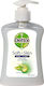 Dettol Κρεμοσάπουνο με Αλόη Βέρα & Μέλι 250ml