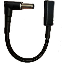 Converter 6.5*1.4 Sony 5a 100w Max Type C Female