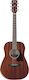 Ibanez Akustisch Gitarre