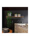 Raft Perete Auriu 100x18x20cm