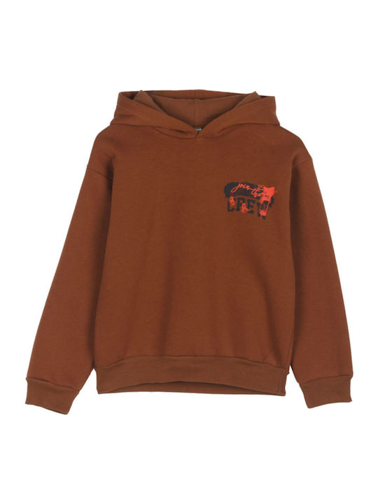 Kids Sweatshirt with Hood Brown Property