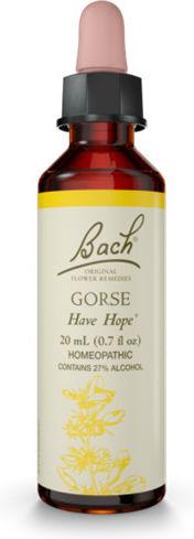 Power Health Gorse Esență Florală în Picături 20ml