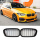 Prasco 242560 Mask Hearts BMW 1 F20 F21 15-19 M4 Look Double Grille 14 Lines Glossy Black 2 Pieces