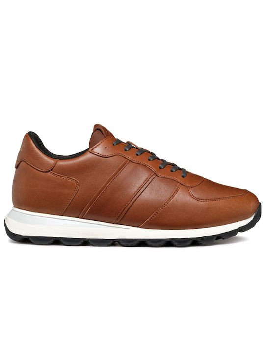 Geox Spherica Sneakers Coffee