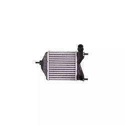 Intercooler Lancia Musa 350 Denso Dit09101