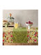 Kentia Ράνερ Σετ 2τμχ Cameo Green 45x140εκ.