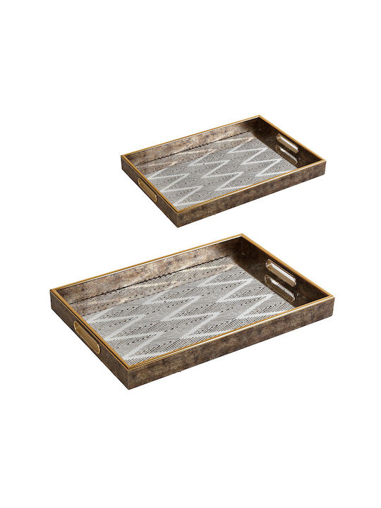 Glass/Plastic Rectangular Tray Set/2 30x45.5-25x40.5cm Dip109 Plastic Glass