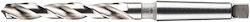 Burghiu 10,0 Rn Cut 168-87 Hss Mk1 Burghiu 10,0 Rn Cut 168-87 Hss Mk1