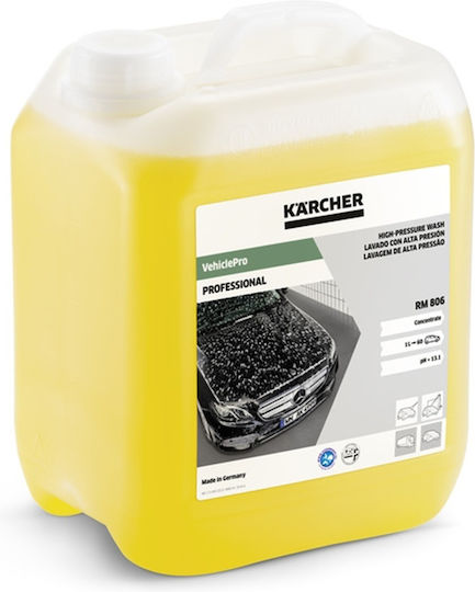 High Pressure Cleaning Solution Rm 806 Asf Karcher
