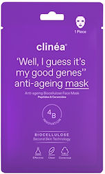 Clinea Anti-Aging Biocellulose-Gesichtsmaske Anti-Aging 1 Stk Clinea Anti-Aging Biocellulose-Gesichtsmaske Anti-Aging 1 Stk