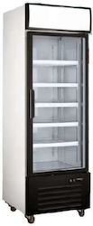 Dynamic Ψυγείο Μπύρας 420lt Μονόπορτο Υ215xΠ62xΒ70cm Dynamic Ψυγείο Μπύρας 420lt Μονόπορτο Υ215xΠ62xΒ70cm