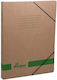 Premium Cutie de Arhivare cu Elastic 36x3x26cm. Verde 1buc