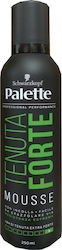 Palette Αφρός Μαλλιών Όγκος 250ml