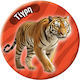 Round Magnet Animals 2 Tiger