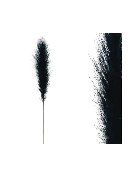 Plantă Uscată Pampas Grass Black Marhome