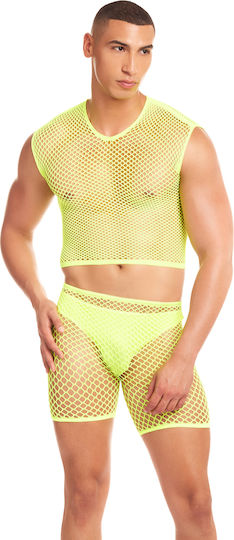 Rene Rofe Green