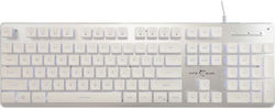 White Shark Tachi Membrane (English US)