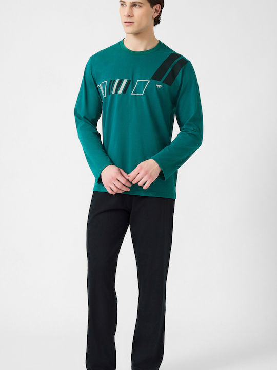Minerva Verde