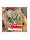 Hängender Weihnachtsbaumschmuck Auto Glasartig Rotes 10x12cm
