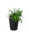 Keter Rattan Planter Pot Plastic Gray